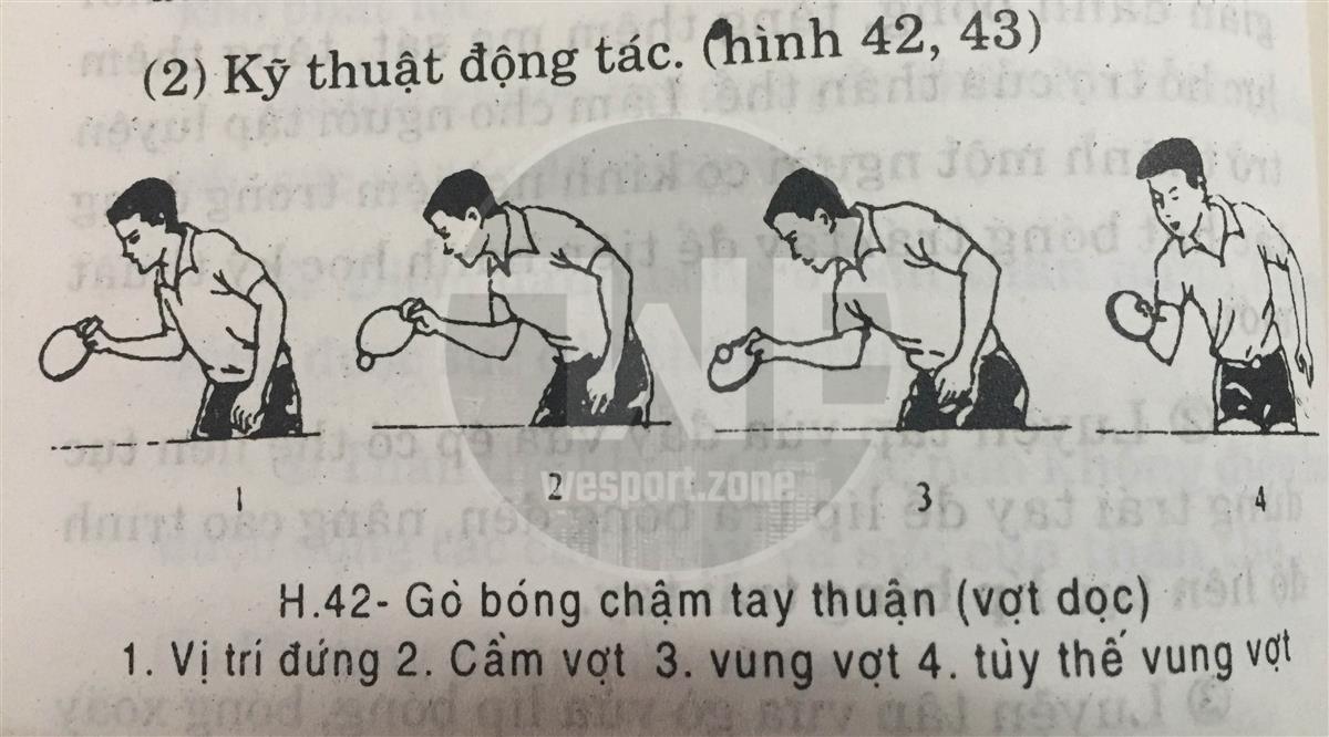 Gò bóng thuận tay chậm